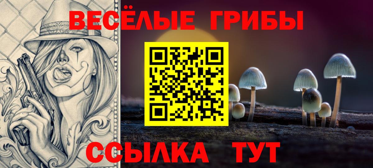 Галлюциногенные грибы GOLDEN TEACHER Грозный